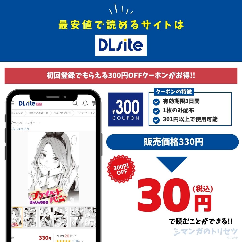 プライベートバニー DLsite