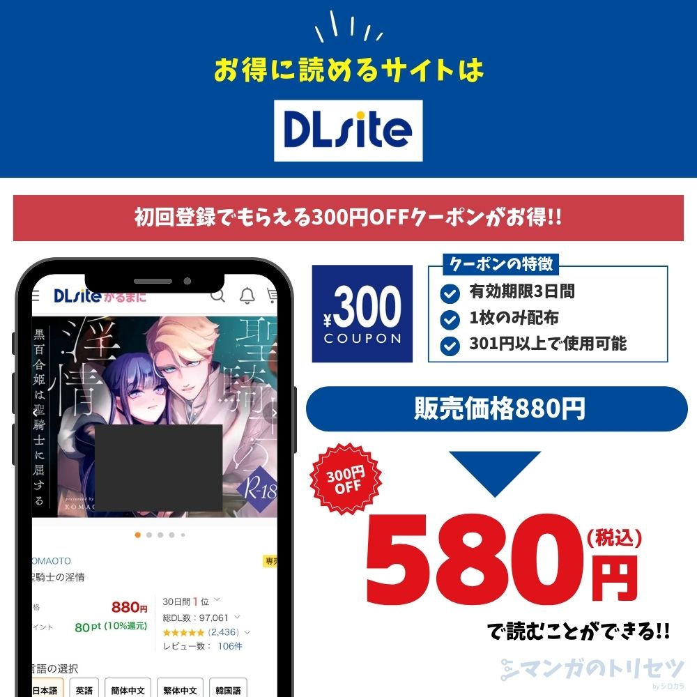 聖騎士の淫情 DLsite