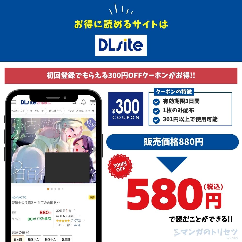 聖騎士の淫情2 DLsite